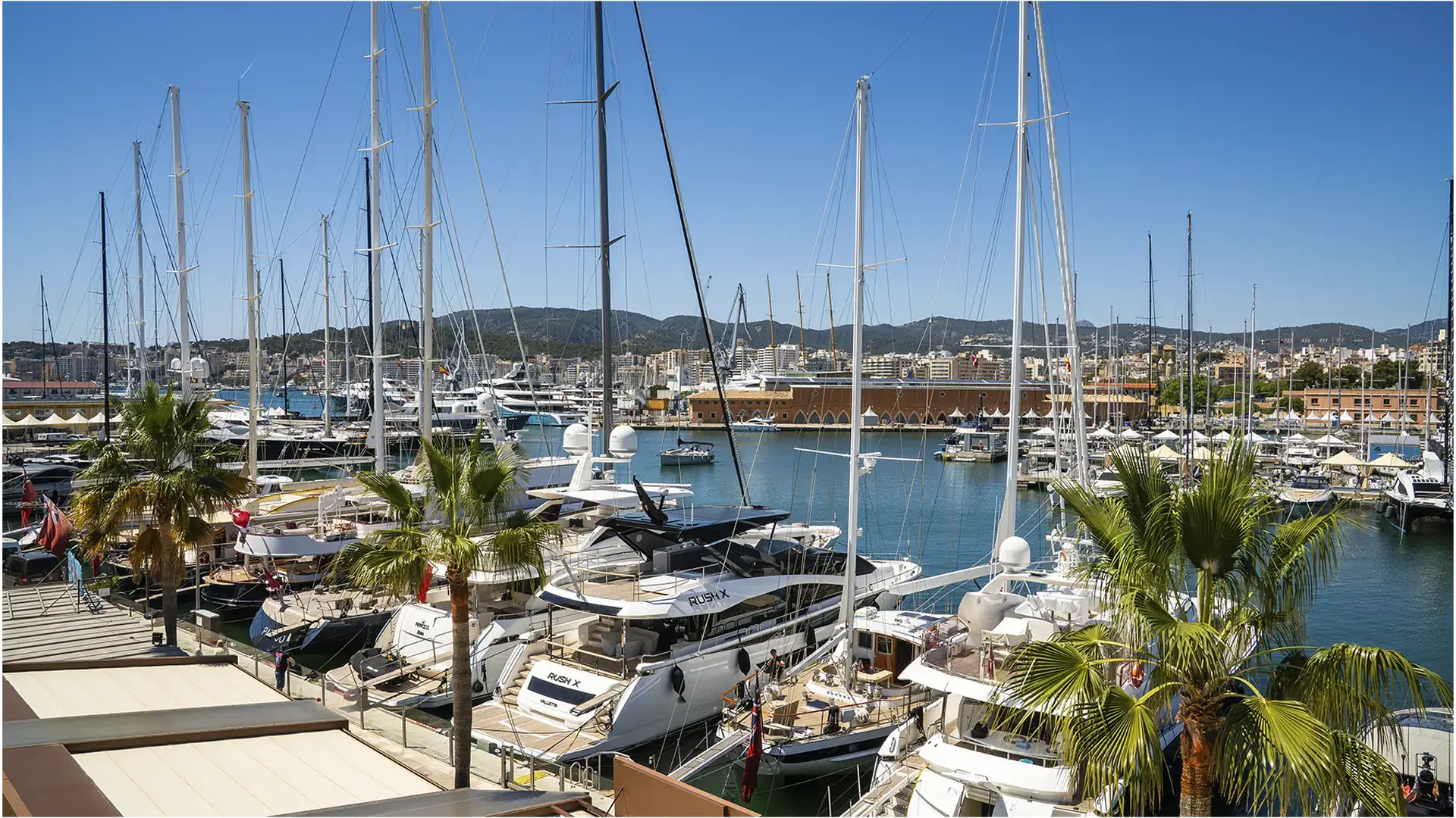 SYCS marina daytime